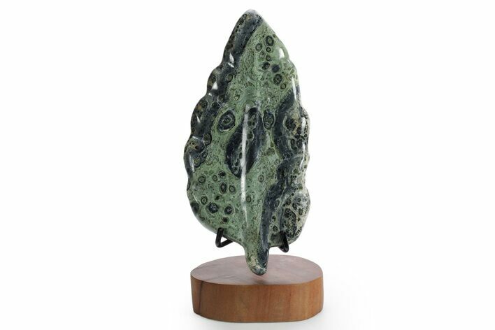 Polished Kambaba Jasper Leaf with Stand - Madagascar #355262